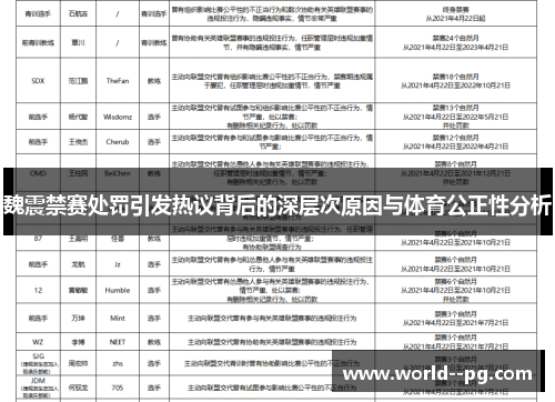 魏震禁赛处罚引发热议背后的深层次原因与体育公正性分析 魏震禁赛处罚引发热议背后的深层次原因与体育公正性分析