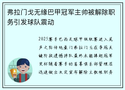 弗拉门戈无缘巴甲冠军主帅被解除职务引发球队震动