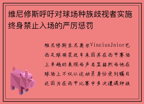 维尼修斯呼吁对球场种族歧视者实施终身禁止入场的严厉惩罚