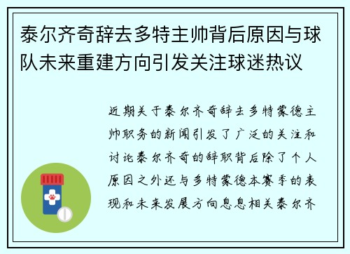 泰尔齐奇辞去多特主帅背后原因与球队未来重建方向引发关注球迷热议
